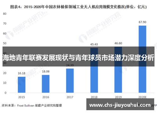 海地青年联赛发展现状与青年球员市场潜力深度分析 海地青年联赛发展现状与青年球员市场潜力深度分析