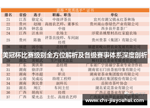 美冠杯比赛级别全方位解析及各级赛事体系深度剖析